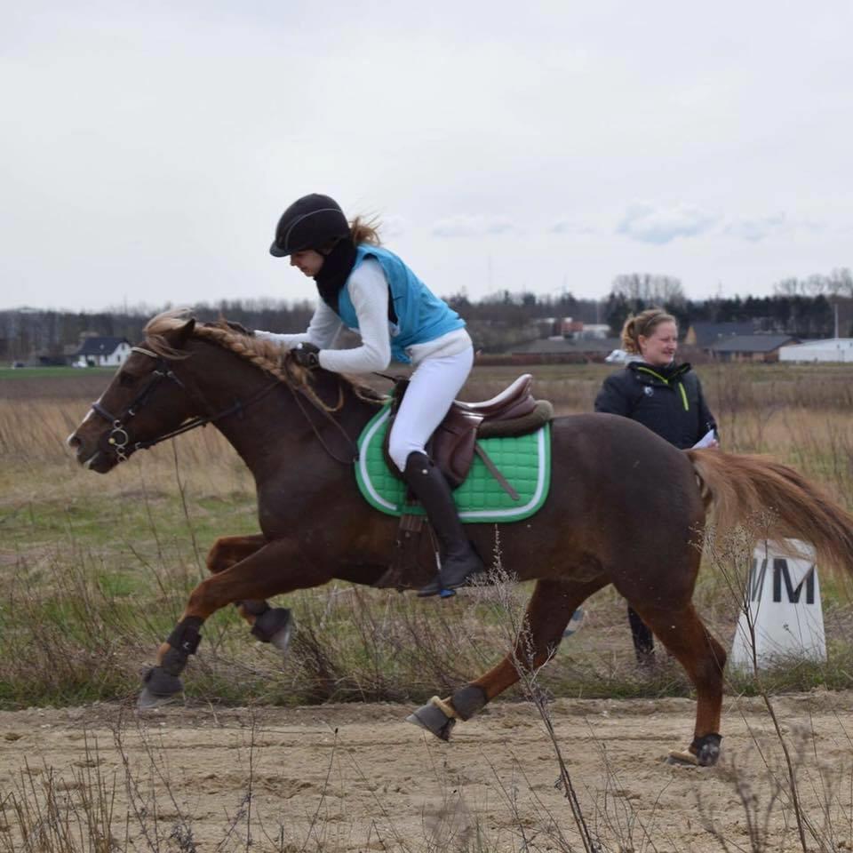 Anden særlig race Laban - You make me happy<3 billede 3