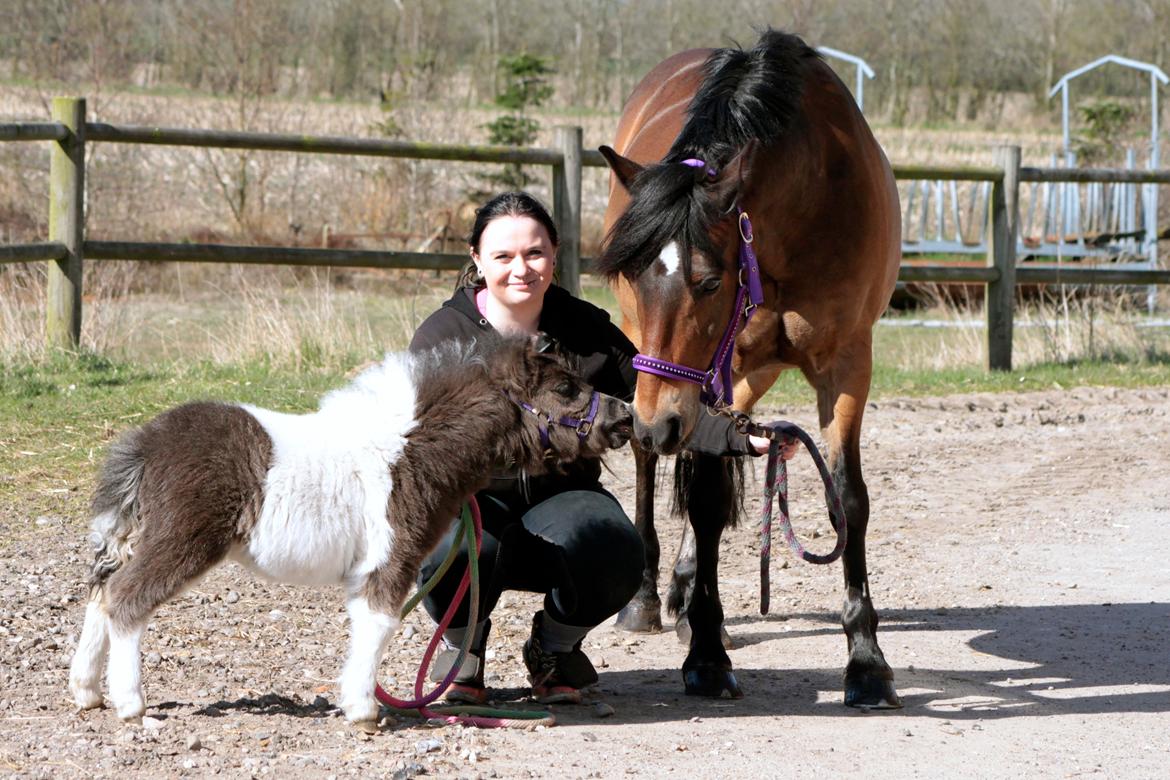 Miniature My Second Chance For Happiness - 11 April 2016. Happy og Felex hilser for første gang. billede 11