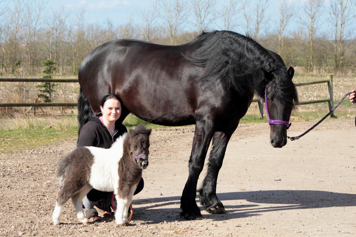 Miniature My Second Chance For Happiness - 11 April 2016. Happy og Lucky hilser for første gang. billede 4