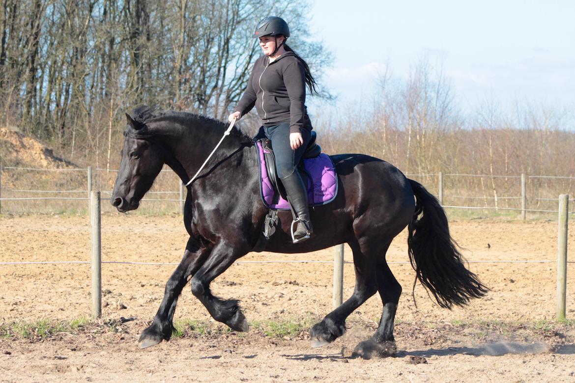 Frieser And They Named Him Lucky - 11 April 2016 billede 39