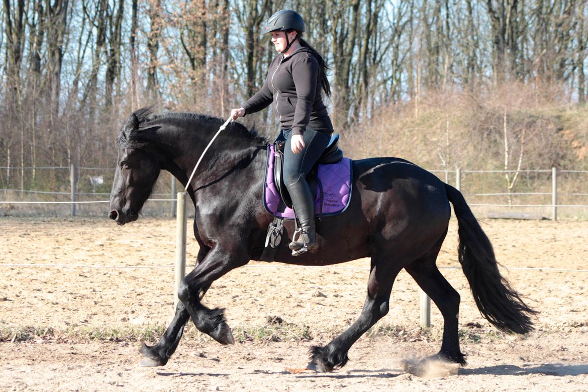 Frieser And They Named Him Lucky - 11 April 2016 billede 32