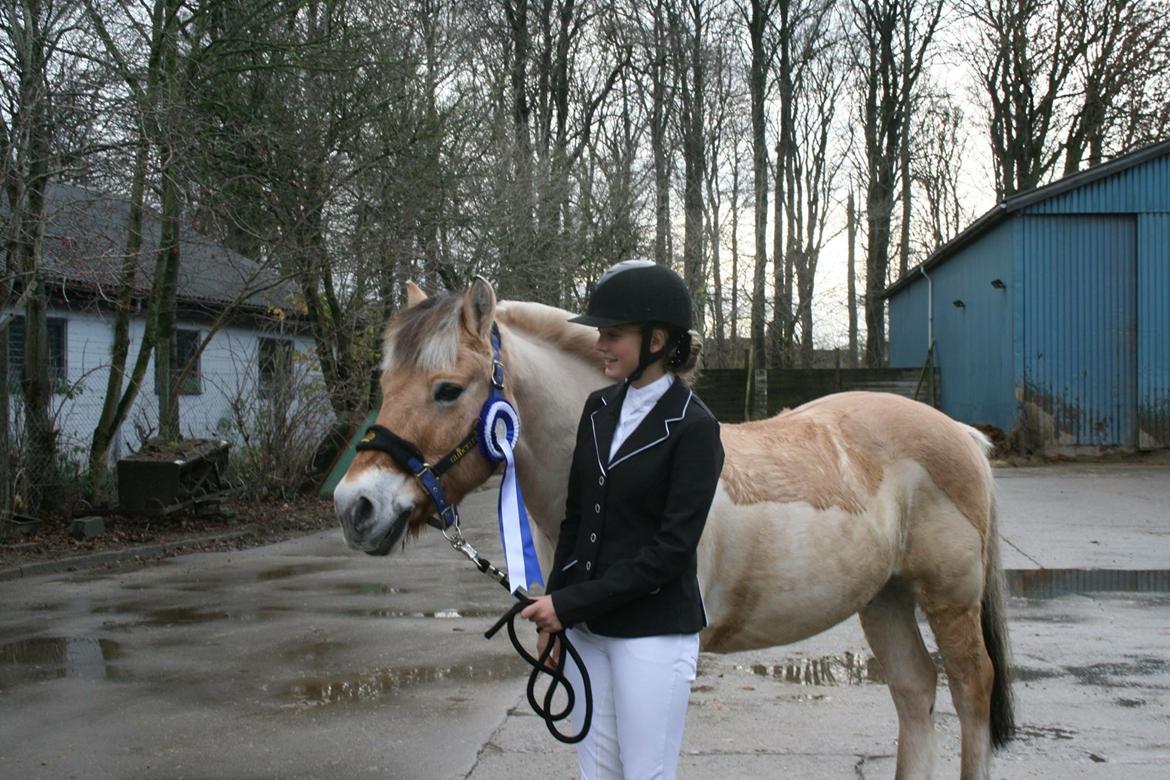 Fjordhest Bob - Første dressurstævne - 70,834 % 👍🏼 billede 3