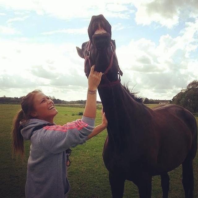 Trakehner Belle noir billede 11