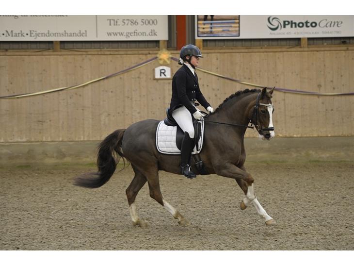 {{currentPhoto.altText}} billede {{currentPhoto.number}}