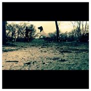 Anden særlig race My lady