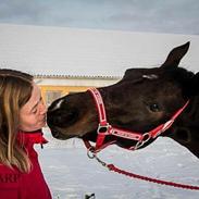 Anden særlig race Klintlys miss June 