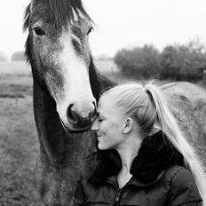 Holstener Le Caméléon Du Classé