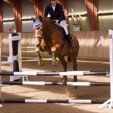 Frederiksborg Mille brandslund