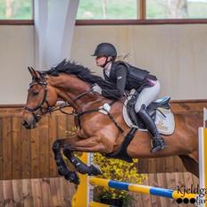 Holstener Søndervangs comet