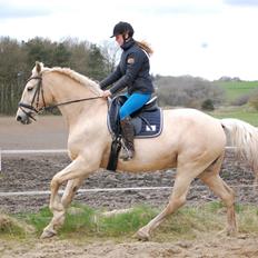 Frederiksborg Sonnerupgårds Isabel FR 8676