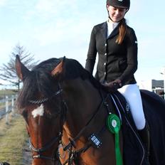 Dansk Varmblod Carneval De Pa- Ris Korsvænget