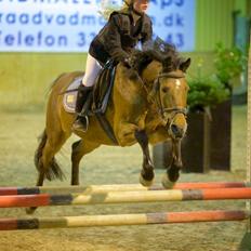 Anden særlig race Brinkhof's Phantom