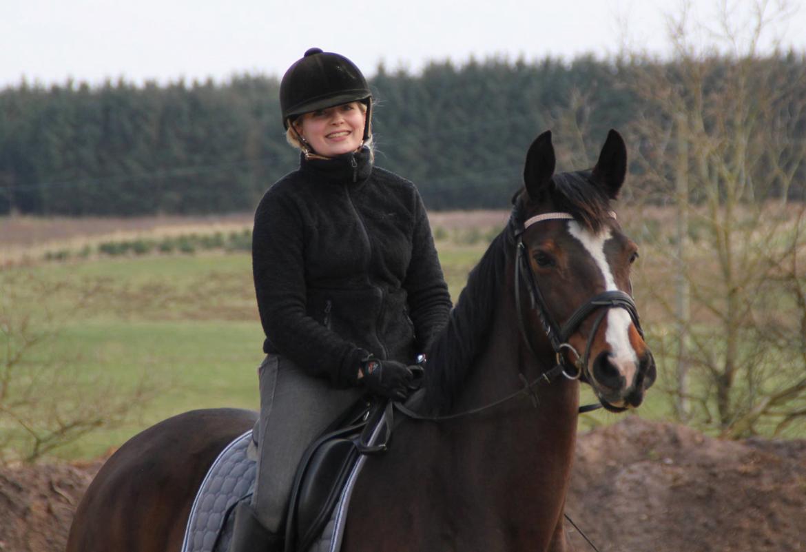 Dansk Varmblod Michelle - D.10/4-16 billede 2