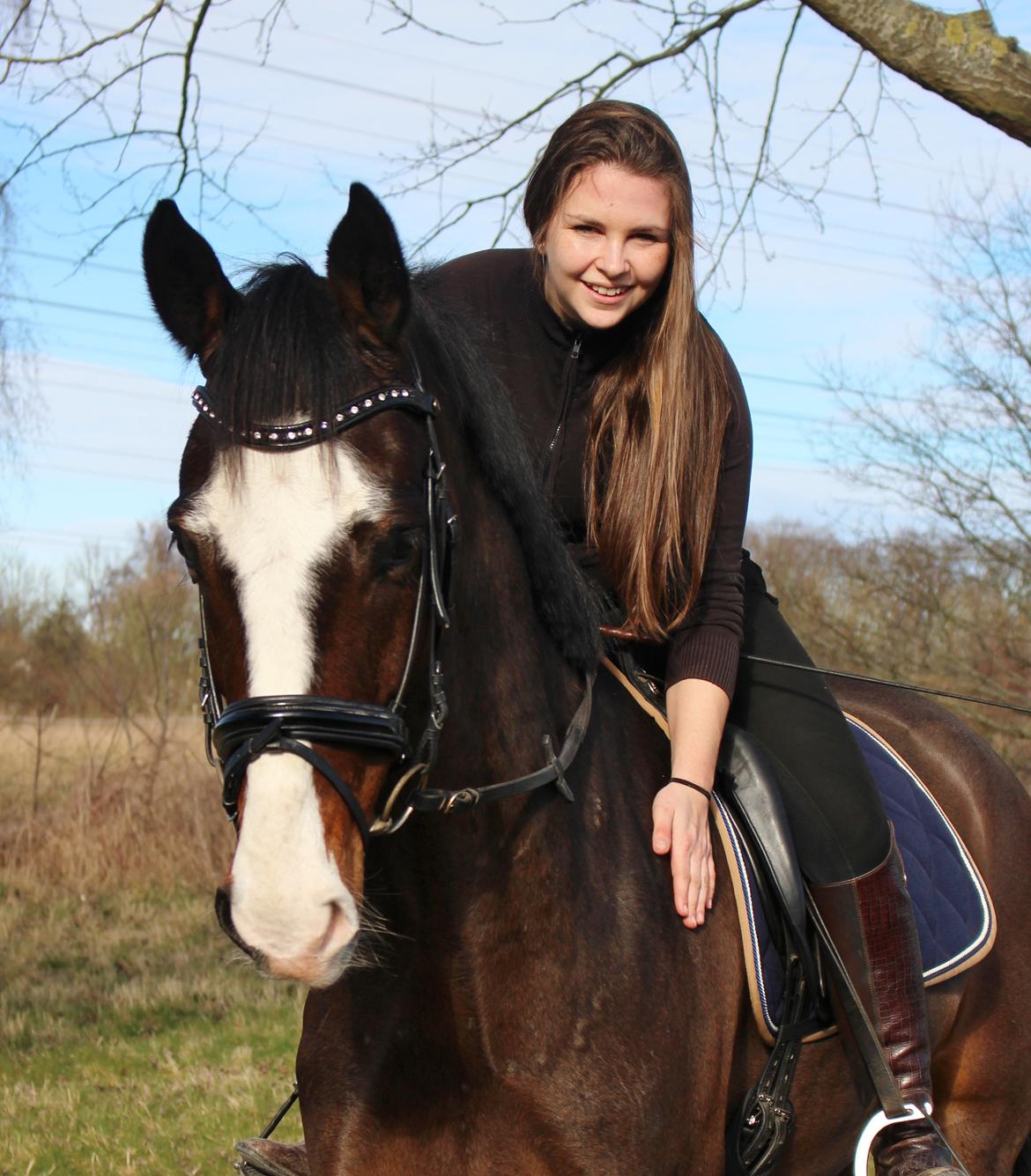 Hollandsk Varmblod Cor De Leandre billede 7