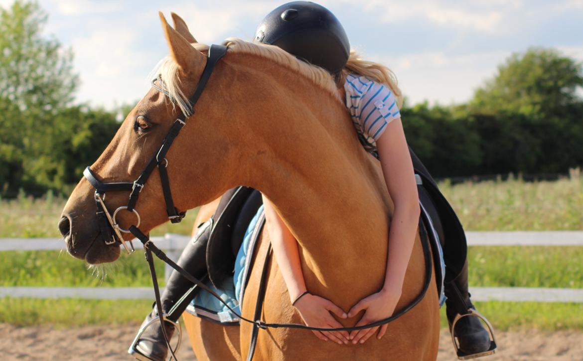 Anden særlig race Rainy June billede 5