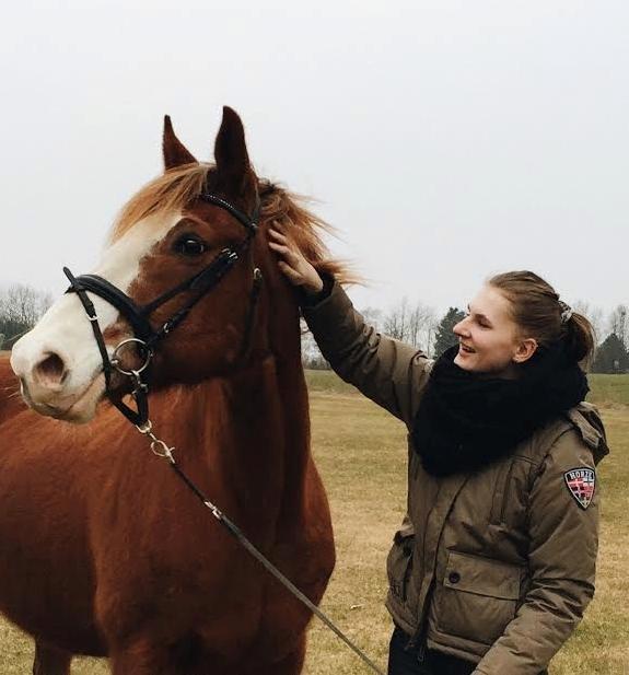 Engelsk Varmblod Edward - Velkommen til Eddies profil ;)) billede 1