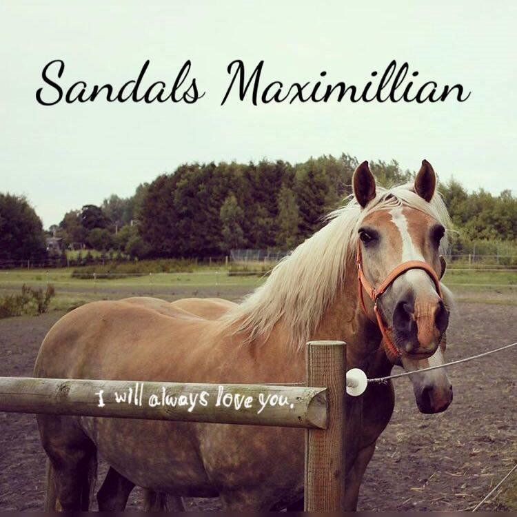 Haflinger Sandals Maximillian billede 10