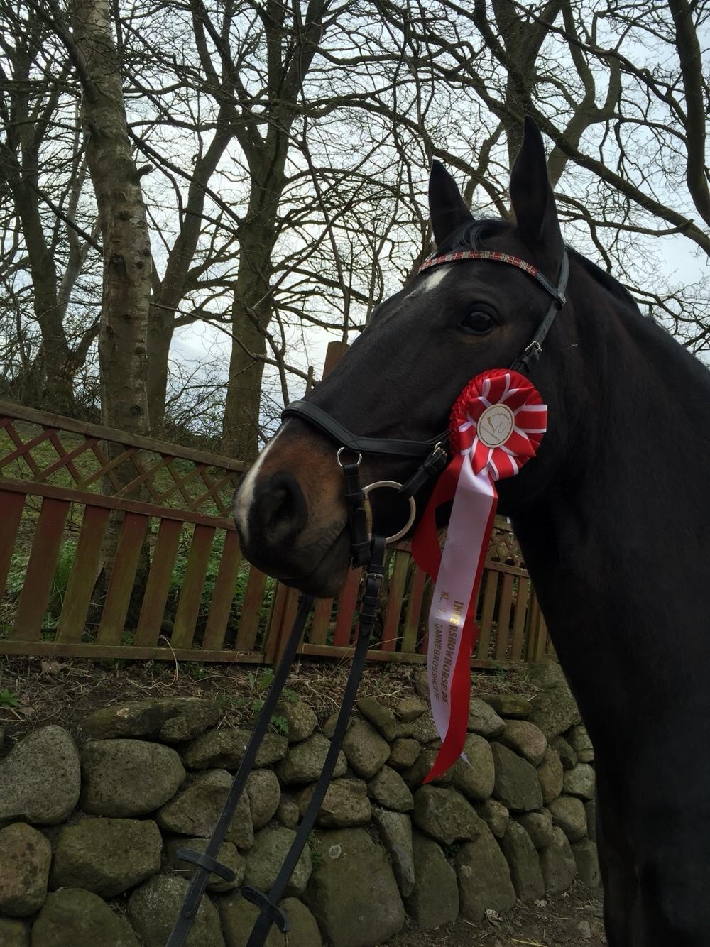 Oldenborg Brandsmarks dina billede 7