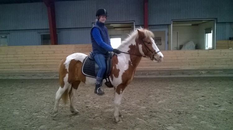 Islænder Gullfaxa fra Gudenådalen (Gulle) - Da jeg var nede og prøve hende :) billede 20