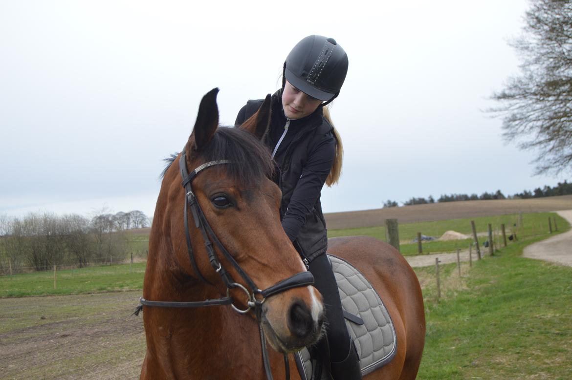 DSP Kenobi - Tak fordi du kiggede med! :) billede 20