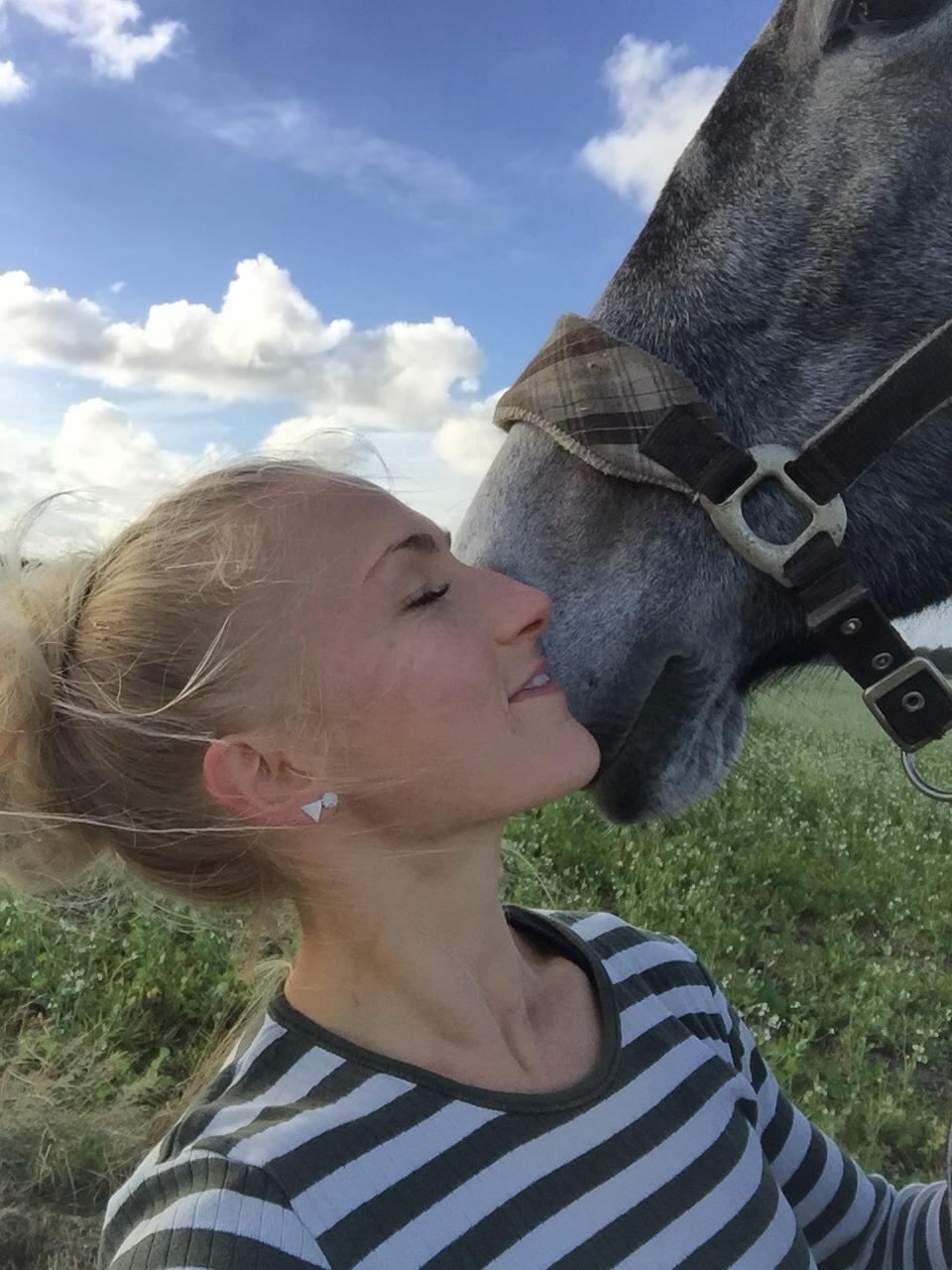 Holstener Le Caméléon Du Classé billede 13