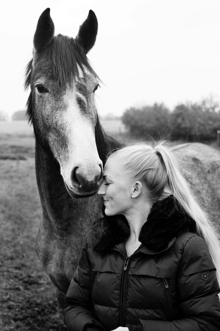 Holstener Le Caméléon Du Classé billede 1