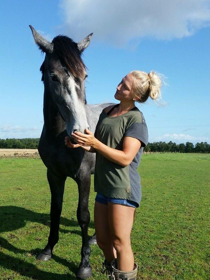 Holstener Le Caméléon Du Classé billede 12