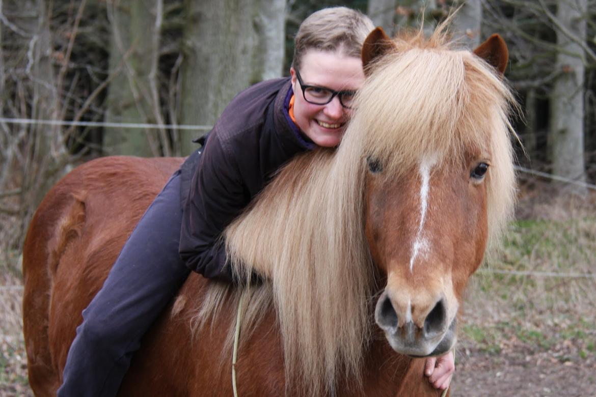 Islænder Trausti fra Gingsholm<3 - "Sometimes you need someone to carry you home, when it hurts like you've crashed from above" <3 Foto: AJM Foto 22.03.16 billede 15