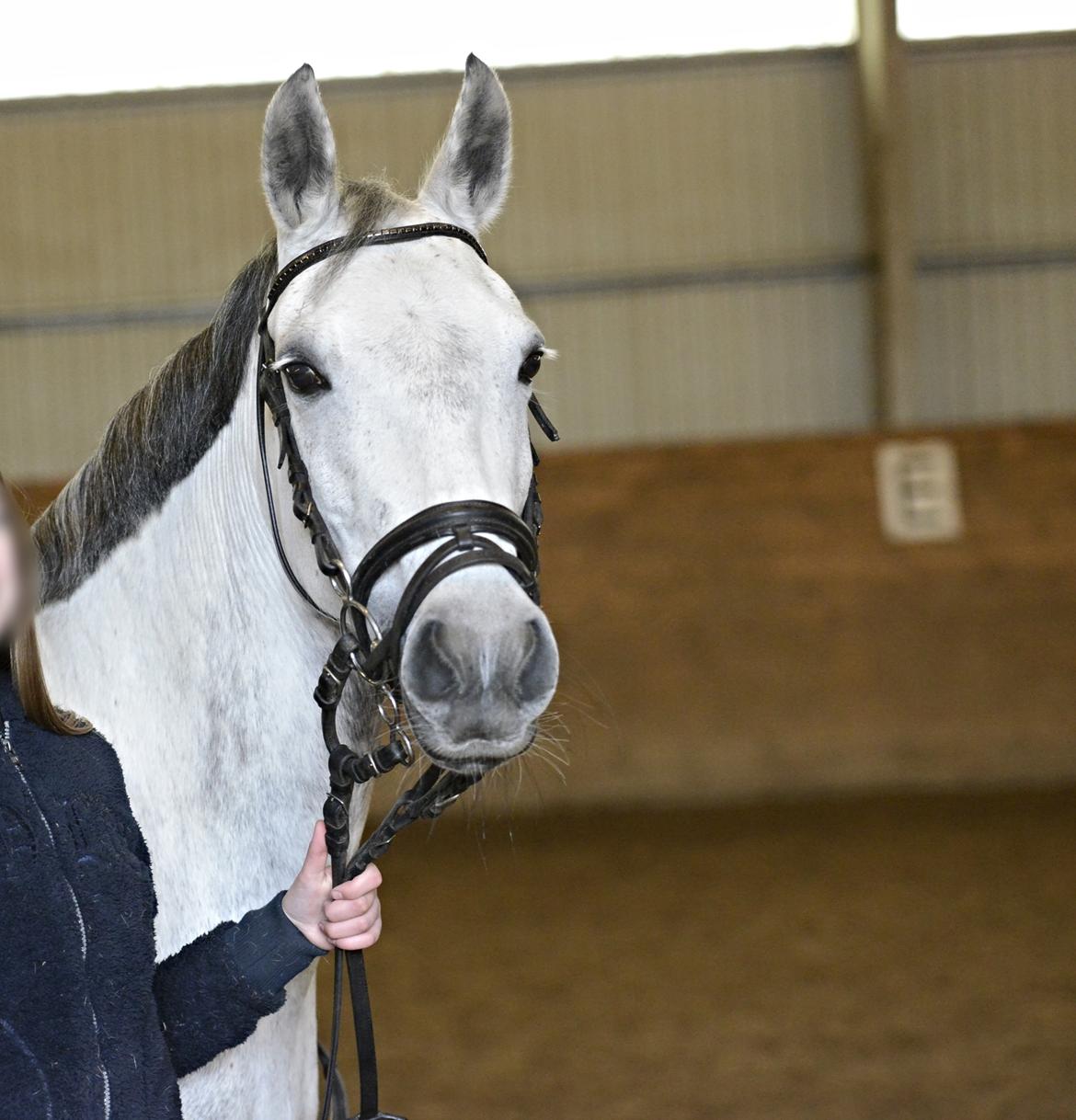 Anden særlig race Karisma billede 1