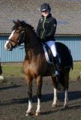 DSP Fjordglimt's afrodite billede 15