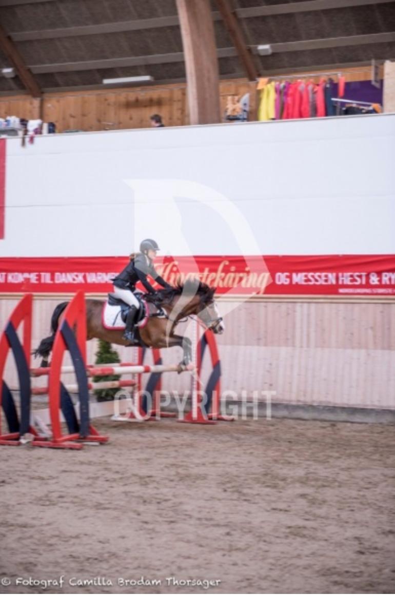 DSP Fjordglimt's afrodite billede 1