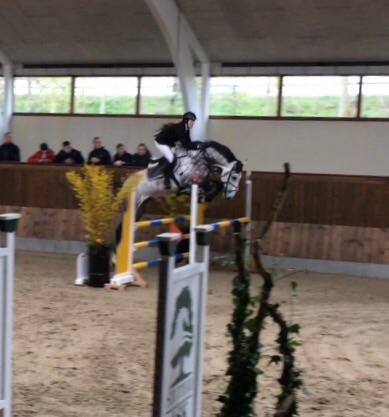 Anden særlig race C. G. Cool Cash billede 12