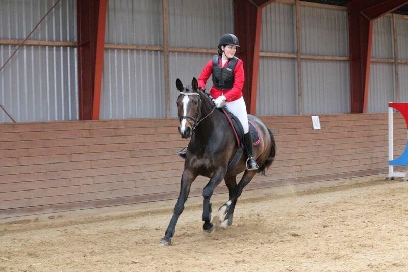 Anden særlig race Brommemølles Mirinda billede 14