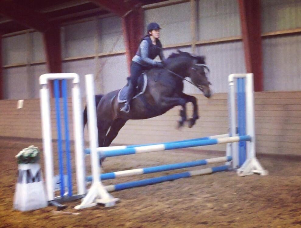 Anden særlig race Brommemølles Mirinda billede 16