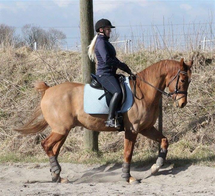 Anden særlig race Sweet Marquis (Tak for 2 fantastiske år) billede 20