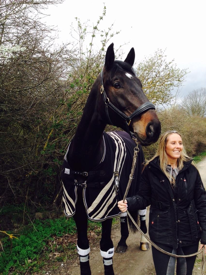 Tysk Varmblod Cartoon [Himmelhest] billede 2