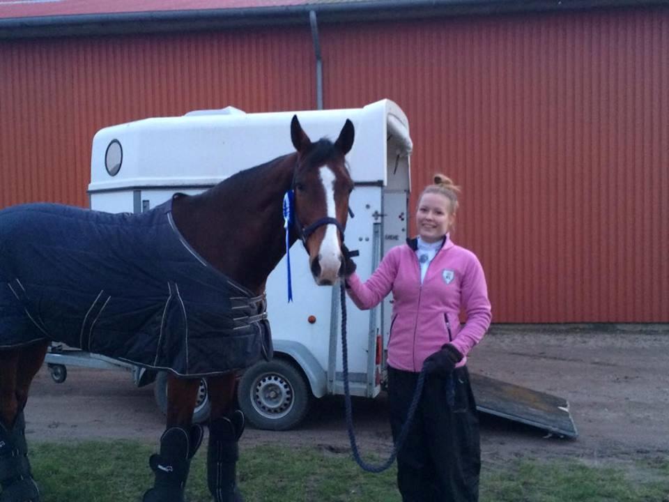 Westfaler Fleaubert von Florencio - 2. plads LB3  billede 11