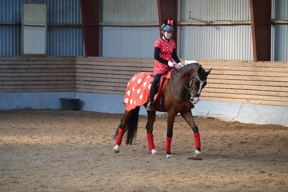 Westfaler Fleaubert von Florencio - Opvisningsshow klædt ud som Mickey Mouse billede 14