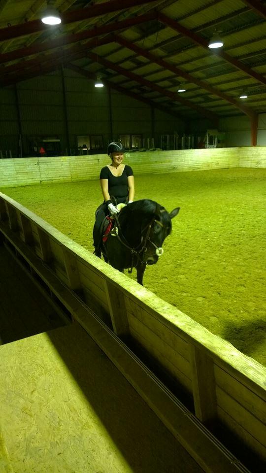 Dansk Varmblod Præstegaardens Freja (Solgt) billede 7