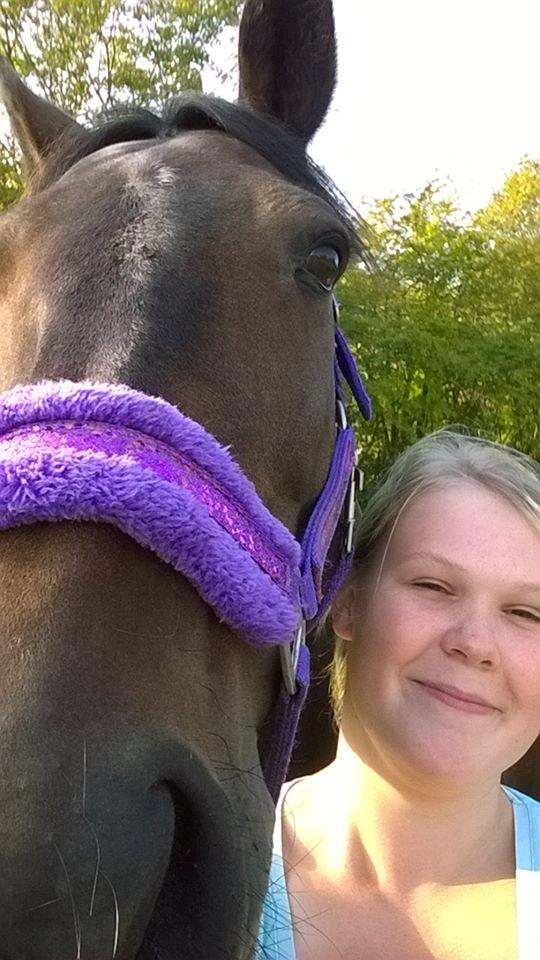 Dansk Varmblod Præstegaardens Freja (Solgt) - Lige fået hende hjem <3 billede 10