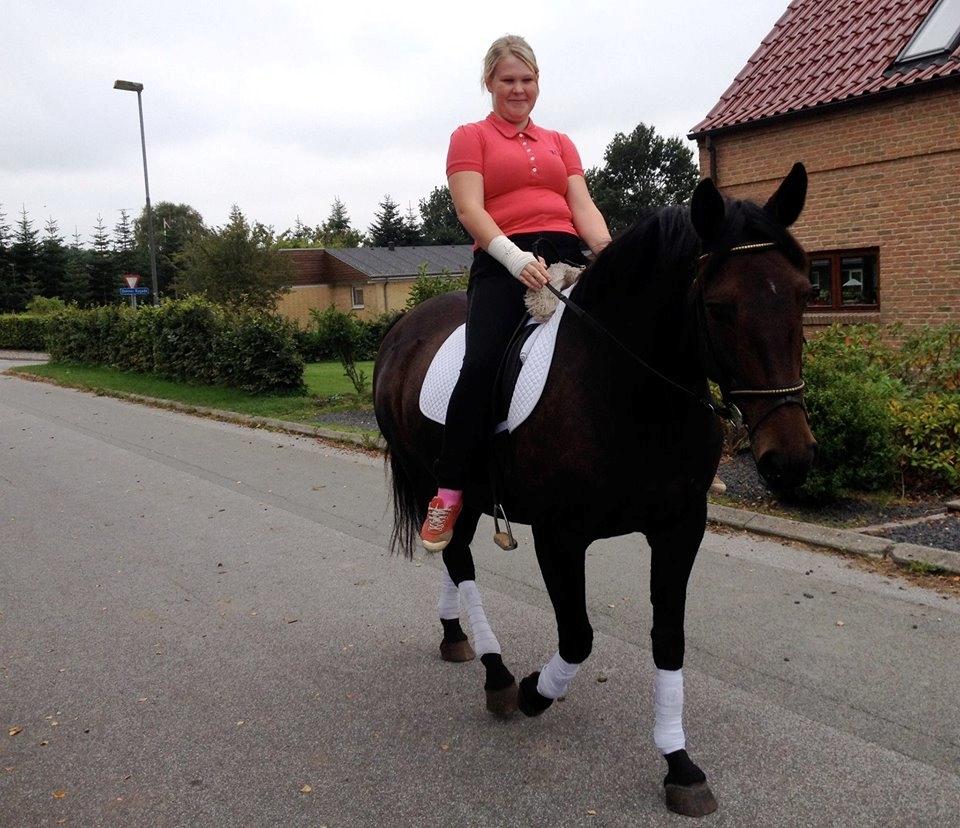 Dansk Varmblod Præstegaardens Freja (Solgt) - Første tur på Freja :)<3 billede 13