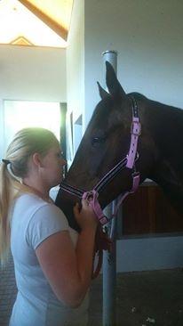 Dansk Varmblod Præstegaardens Freja (Solgt) - Freja ved dyrlægen den 29/6-15 billede 23