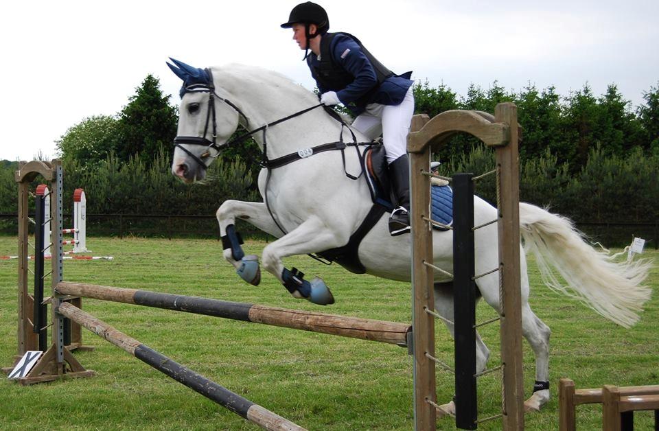 Anden særlig race Miss Furio - farvskov 2015 billede 22