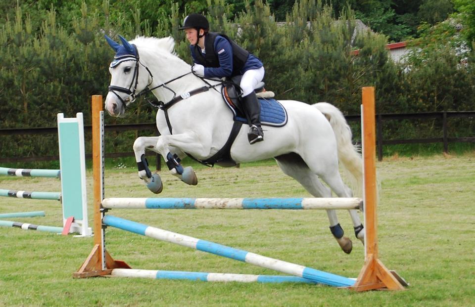 Anden særlig race Miss Furio - favrskov 2015 billede 23