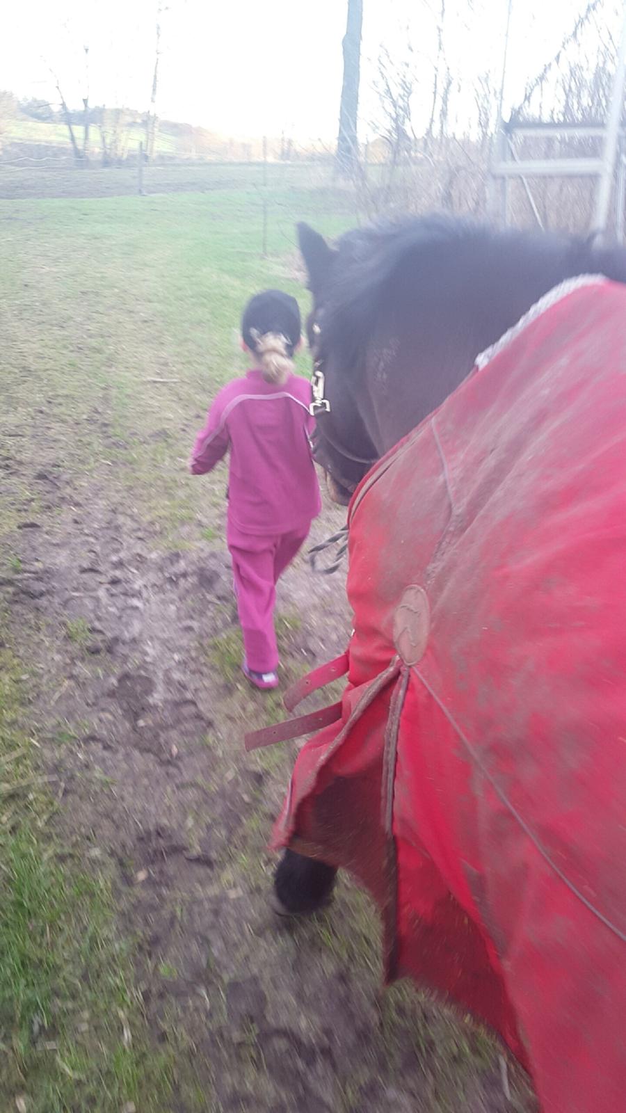 Dartmoor Innis Nissen billede 13