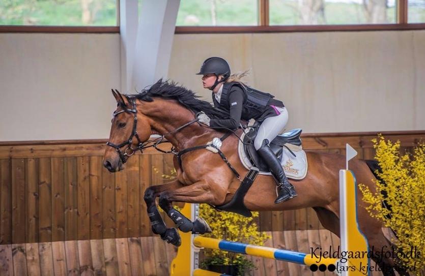 Holstener Søndervangs comet - Velkommen billede 3