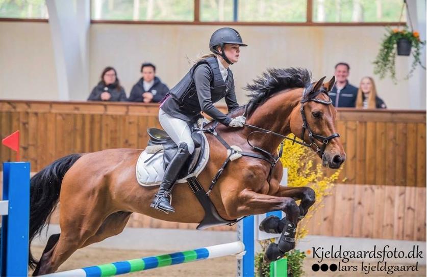 Holstener Søndervangs comet billede 4