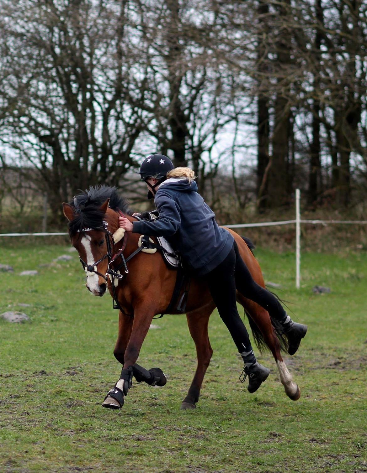 Anden særlig race Princess // P // My one and only - “Life isn't about finding yourself. Life is about creating yourself.” billede 16