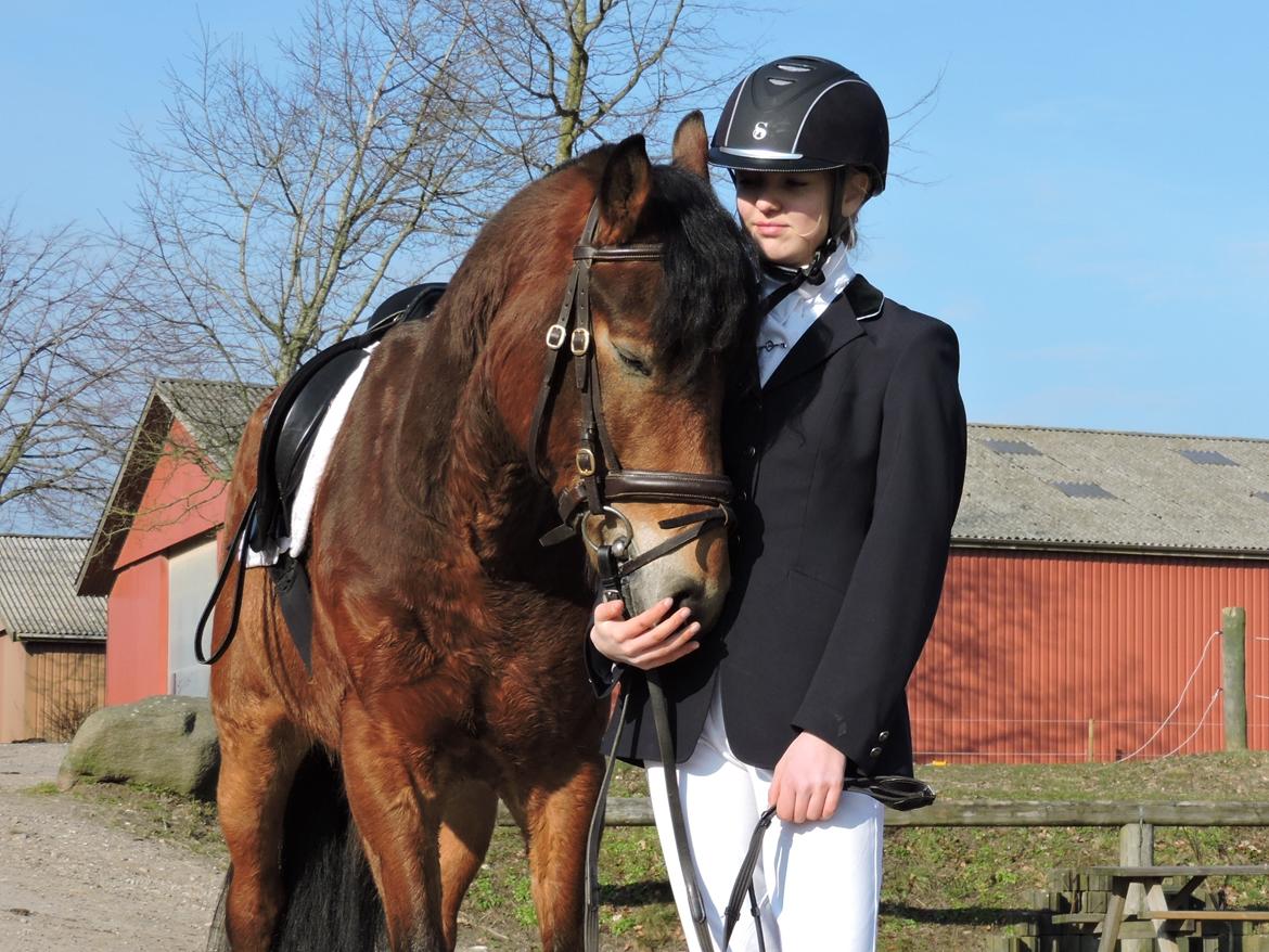 Anden særlig race Ole - Fra første stævne med Ole d. 13.3.16. Vi red en LC1 til 68,60% :) billede 2