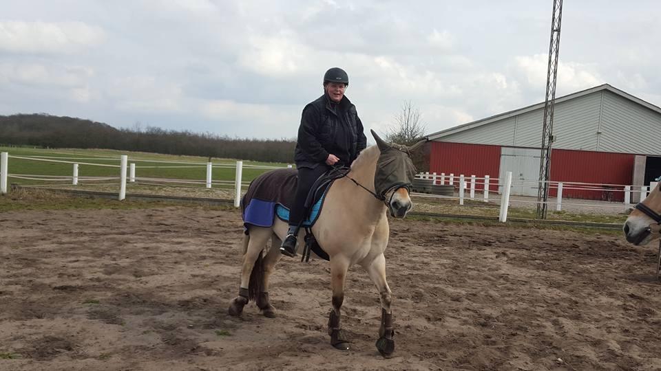 Fjordhest Thilde billede 37